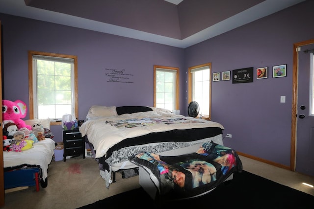 1053 Sycamore St, Beecher, IL 60401 - bedroom with carpet flooring and multiple windows
