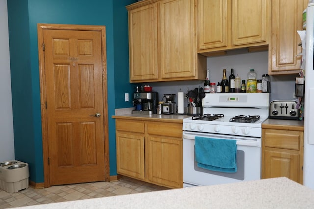 1053 Sycamore St, Beecher, IL 60401 - kitchen with white gas range and light countertops