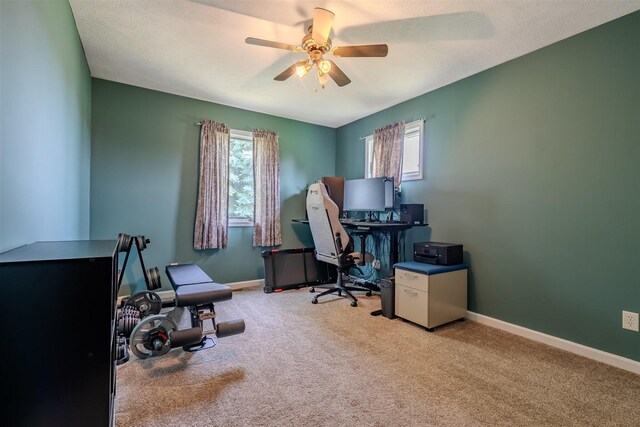 107 W 10th St, Gridley, IL 61744 - carpeted office space featuring plenty of natural light and ceiling fan