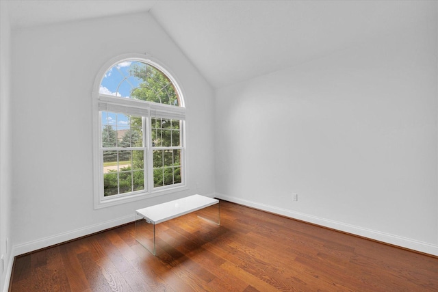 1904 Mullikin Dr, Champaign, IL 61822 - spare room with healthy amount of natural light, lofted ceiling, and wood finished floors