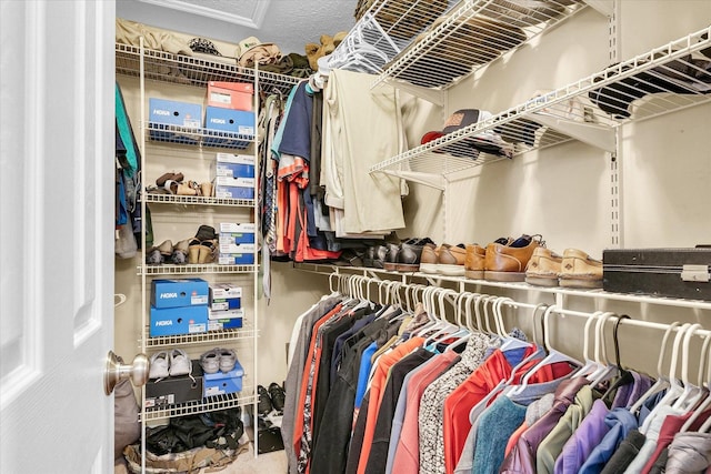 3911 Tallgrass Dr, Champaign, IL 61822 - spacious closet featuring attic access