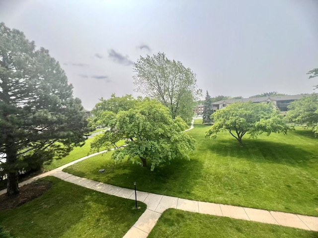 11 Echo Ct Unit 17, Vernon Hills, IL 60061 - view of grassy yard