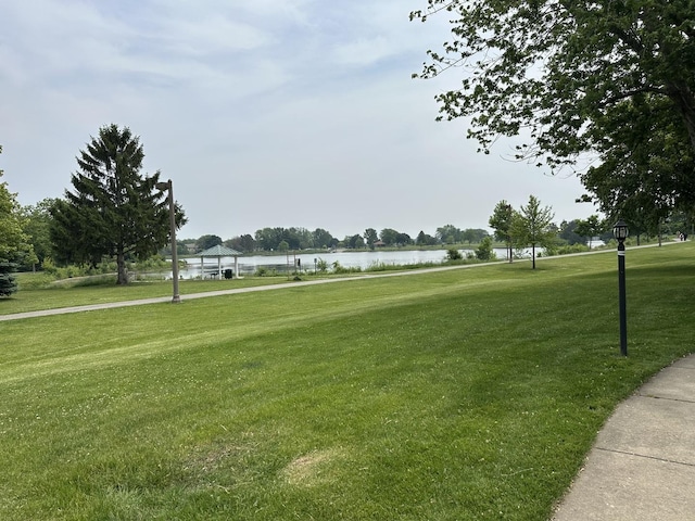 11 Echo Ct Unit 17, Vernon Hills, IL 60061 - view of home's community featuring a lawn and a water view