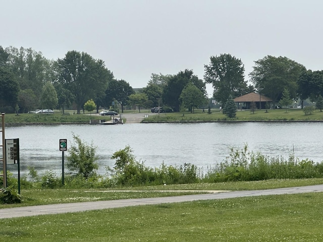 11 Echo Ct Unit 17, Vernon Hills, IL 60061 - water view