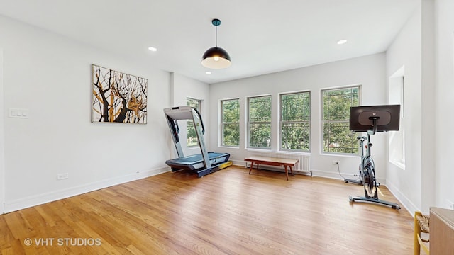 117 S Grove Ave, Oak Park, IL 60302 - exercise area with wood finished floors, recessed lighting, and radiator heating unit