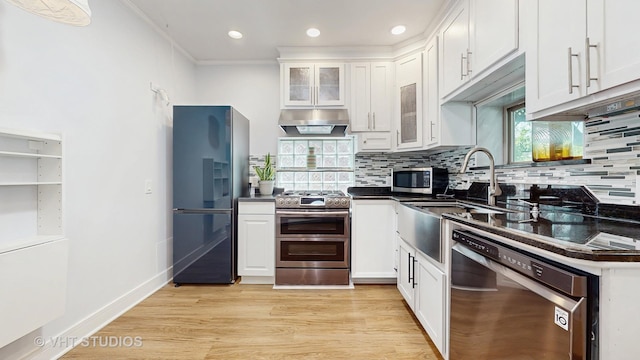 117 S Grove Ave, Oak Park, IL 60302 - kitchen with appliances with stainless steel finishes, under cabinet range hood, dark countertops, tasteful backsplash, and ornamental molding