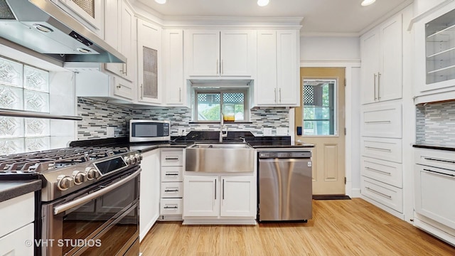 117 S Grove Ave, Oak Park, IL 60302 - kitchen with appliances with stainless steel finishes, under cabinet range hood, dark countertops, light wood-type flooring, and recessed lighting