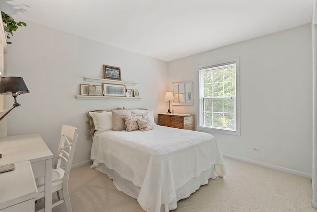2583 Warm Springs Ln, Naperville, IL 60564 - bedroom with baseboards and light colored carpet