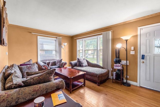 3914 Madison St, Bellwood, IL 60104 - living area with light wood-style flooring and crown molding