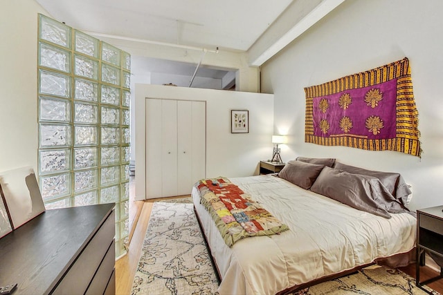 124 W Polk St Unit 603, Chicago, IL 60605 - bedroom featuring wood finished floors and a closet
