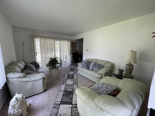 786 Delmar Ct Unit 6, University Park, IL 60484 - living area featuring carpet