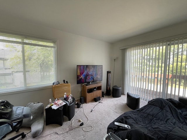 786 Delmar Ct Unit 6, University Park, IL 60484 - view of carpeted bedroom