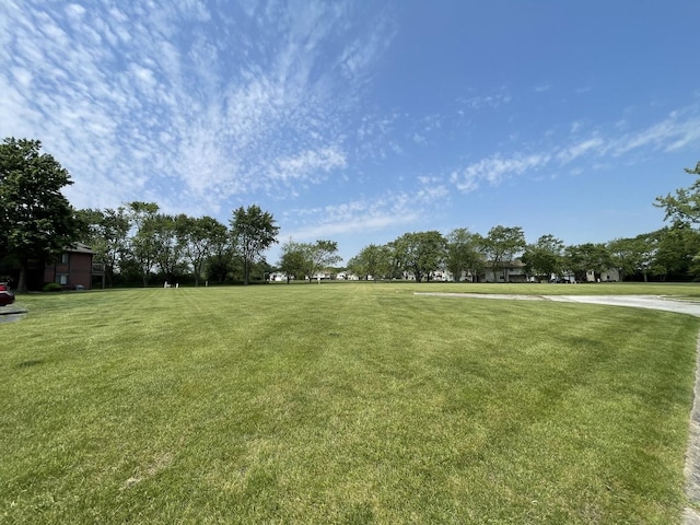 786 Delmar Ct Unit 6, University Park, IL 60484 - view of grassy yard