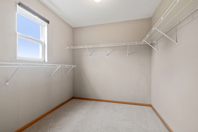 1069 Dalton Ave, Yorkville, IL 60560 - photo 19