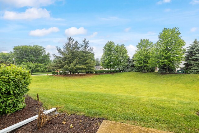 1069 Dalton Ave, Yorkville, IL 60560 - photo 25