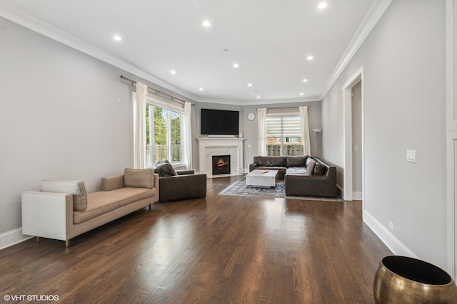 1780 Prairie Ave, Northbrook, IL 60062 - living area featuring a premium fireplace, crown molding, dark wood-type flooring, and recessed lighting