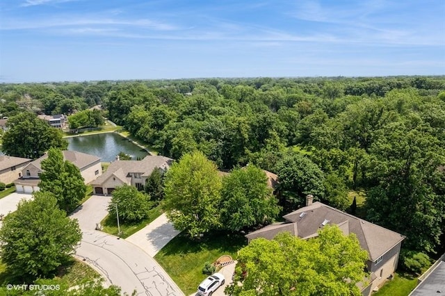 401 Woodside Dr, Wood Dale, IL 60191 - bird's eye view of a heavily wooded area and a large body of water
