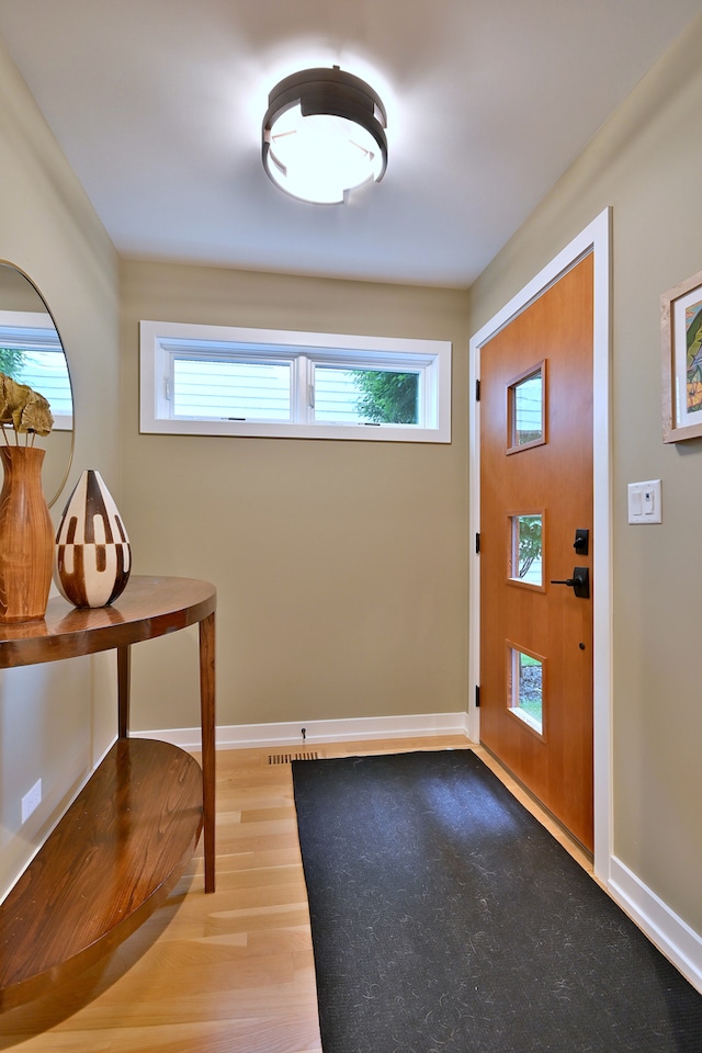 717 S Washington St, Elmhurst, IL 60126 - foyer featuring wood finished floors and healthy amount of natural light