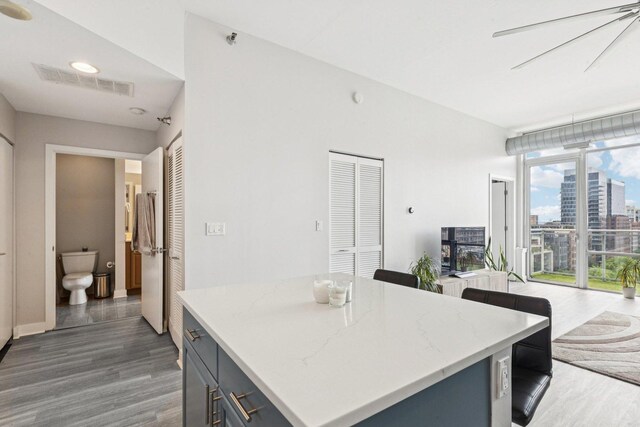 901 W Madison St Unit 1002, Chicago, IL 60607 - kitchen with wood finished floors, gray cabinets, light stone counters, a kitchen island, and a view of city