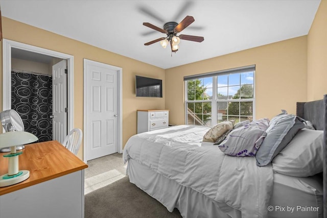 735 Chasewood Dr, South Elgin, IL 60177 - carpeted bedroom featuring ceiling fan