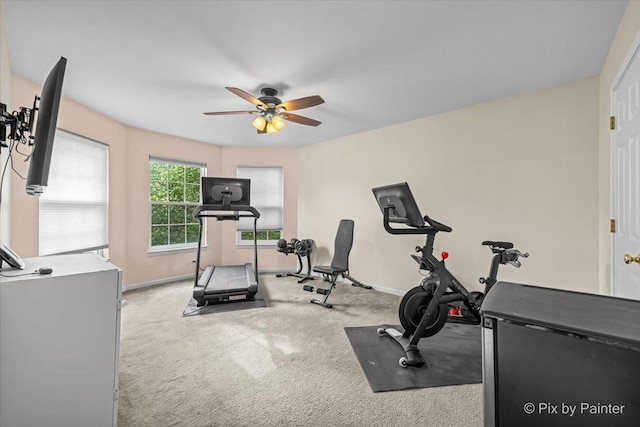 735 Chasewood Dr, South Elgin, IL 60177 - workout area featuring a ceiling fan and carpet flooring