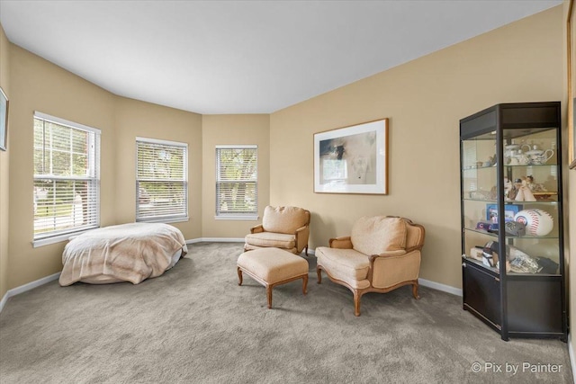 735 Chasewood Dr, South Elgin, IL 60177 - bedroom featuring carpet