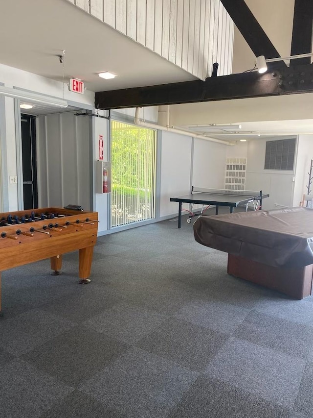 6853 Red Wing Dr, Woodridge, IL 60517 - playroom with carpet flooring