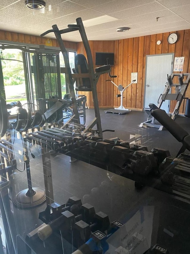 6853 Red Wing Dr, Woodridge, IL 60517 - gym featuring wooden walls