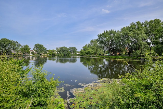 6853 Red Wing Dr, Woodridge, IL 60517 - water view