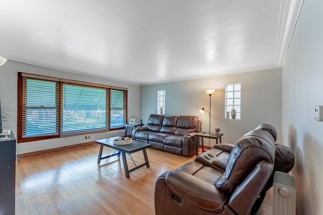 7125 S Richmond St, Chicago, IL 60629 - living area featuring ornamental molding and light wood-style flooring