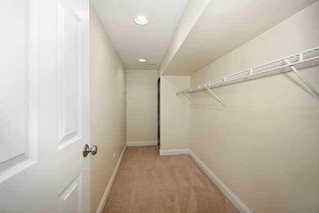 1058 Oakview Dr Unit 1058, Wheaton, IL 60187 - walk in closet featuring light colored carpet