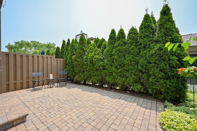 1058 Oakview Dr Unit 1058, Wheaton, IL 60187 - view of patio