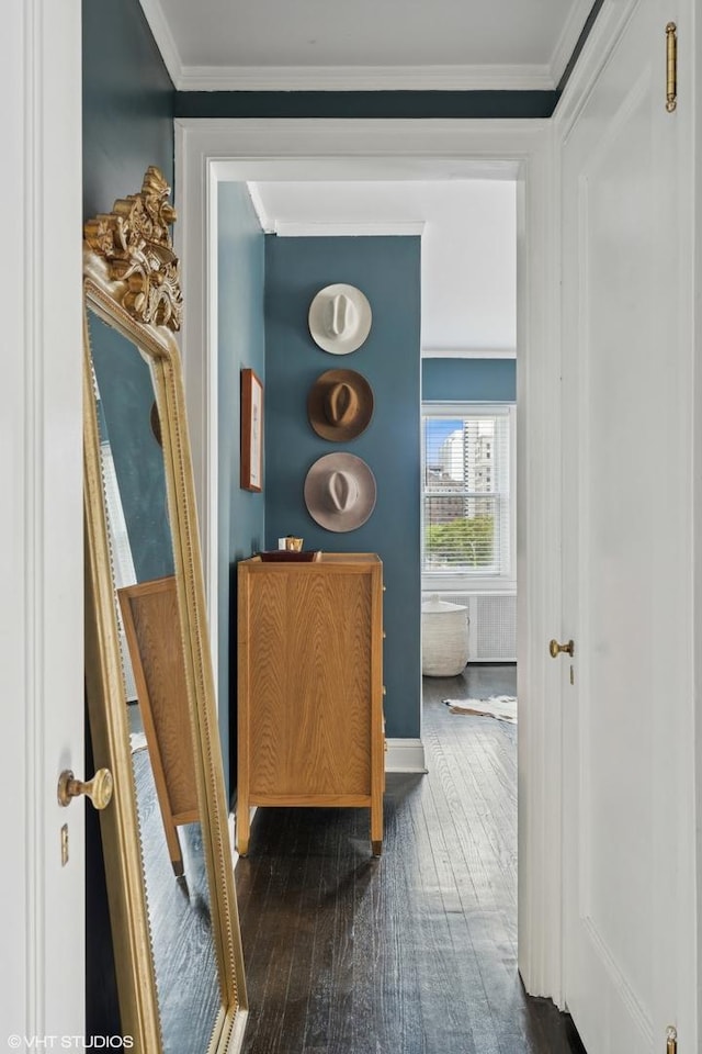 hallway with wood-type flooring and crown molding
