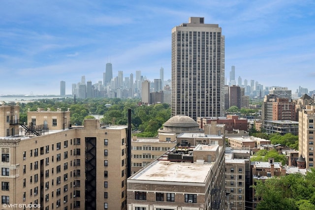 skyline view