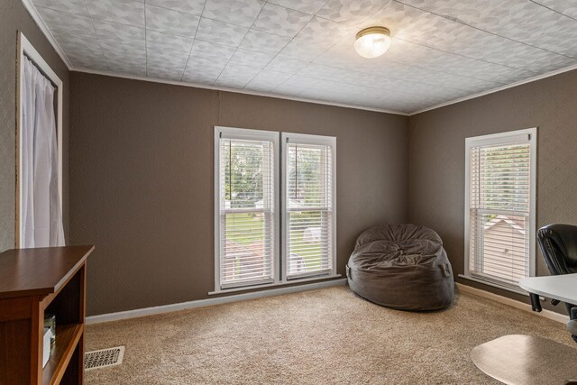 516 E Locust St, Watseka, IL 60970 - sitting room with carpet, crown molding, plenty of natural light, and a textured wall