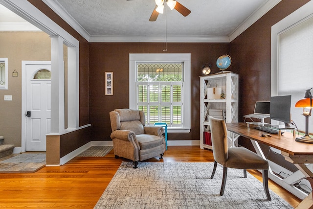 516 E Locust St, Watseka, IL 60970 - office area with wood finished floors, ceiling fan, and crown molding