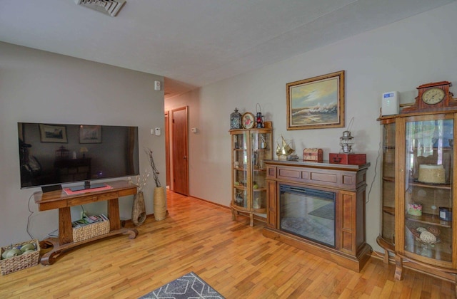220 N Indiana St, Atwood, IL 61913 - living room featuring wood finished floors and a glass covered fireplace