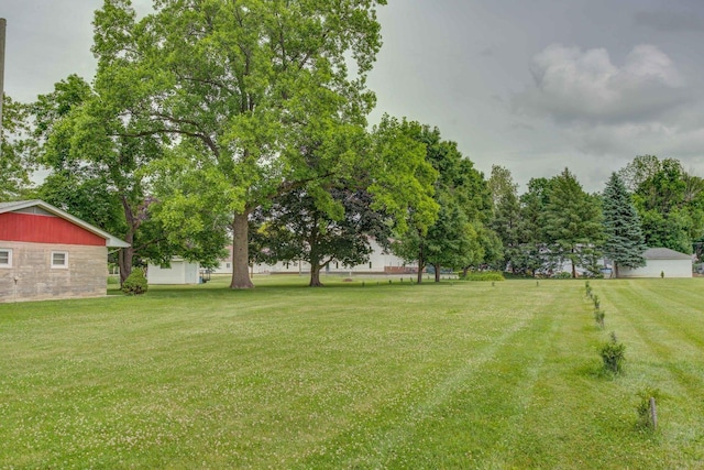 220 N Indiana St, Atwood, IL 61913 - view of green lawn