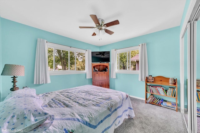 226 S Rathje Rd, Peotone, IL 60468 - carpeted bedroom featuring ceiling fan and a closet
