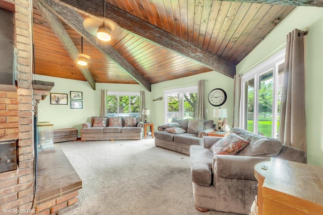 226 S Rathje Rd, Peotone, IL 60468 - living area with wood ceiling and carpet