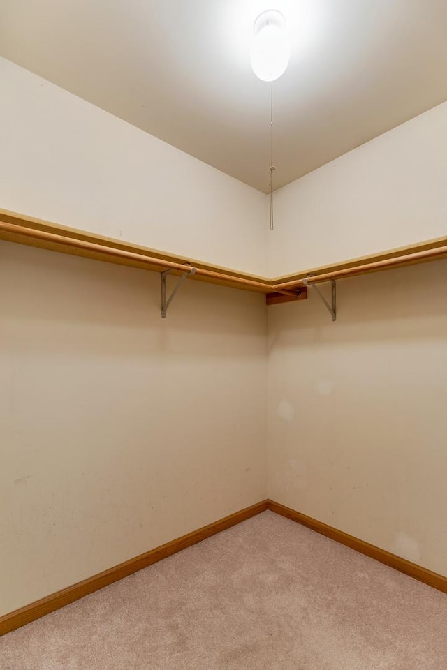 212 Jake Ln, Hampshire, IL 60140 - walk in closet with light colored carpet