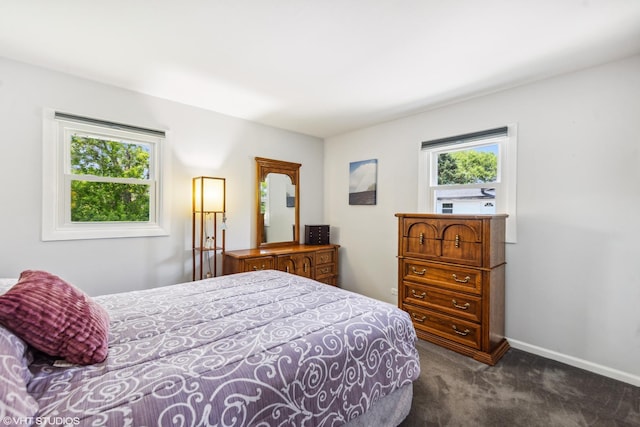 7626 Deerfield Ave, Woodridge, IL 60517 - bedroom featuring dark carpet and baseboards