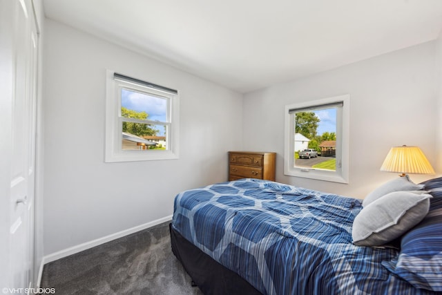 7626 Deerfield Ave, Woodridge, IL 60517 - bedroom featuring carpet floors and baseboards