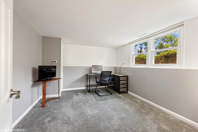 7626 Deerfield Ave, Woodridge, IL 60517 - office area featuring carpet floors and baseboards