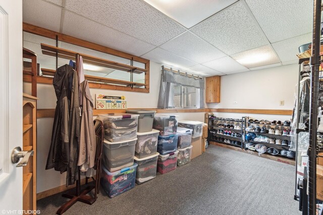 7626 Deerfield Ave, Woodridge, IL 60517 - below grade area with carpet flooring and a paneled ceiling