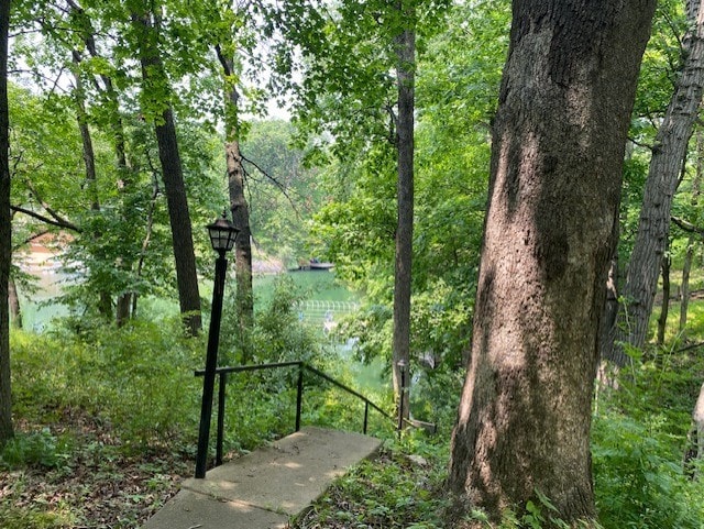 23 Acapulco Dr, Putnam, IL 61560 - water view with a heavily wooded area