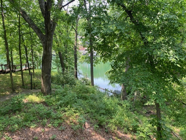 23 Acapulco Dr, Putnam, IL 61560 - water view