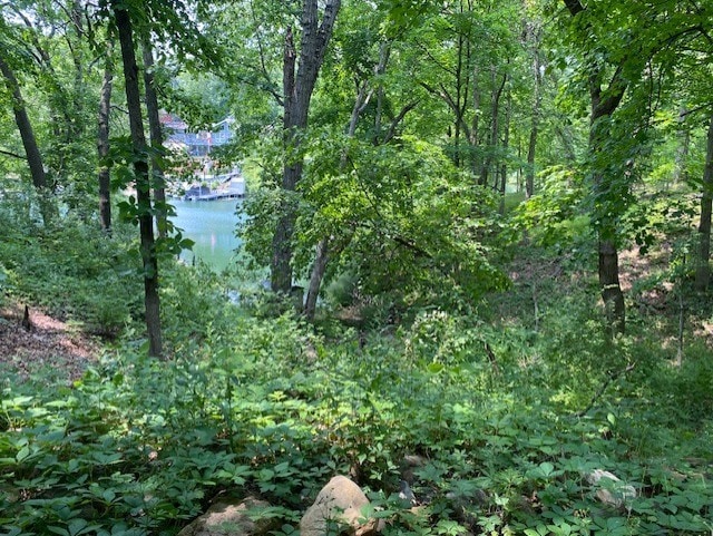 23 Acapulco Dr, Putnam, IL 61560 - view of tree filled area with a water view