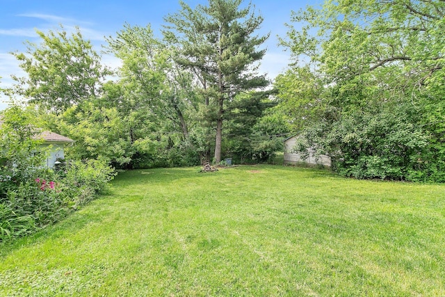 3 Clark Ave, Lake In The Hills, IL 60156 - view of green lawn