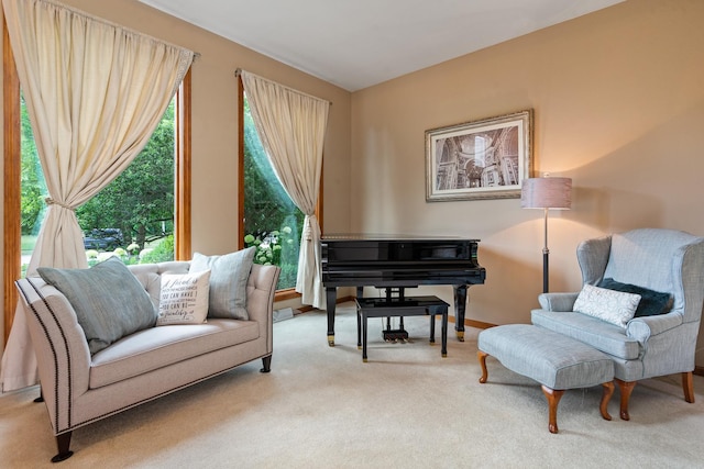 856 Fieldcrest Dr, Bolingbrook, IL 60490 - sitting room featuring carpet floors